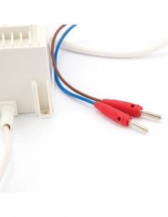 WTAPIACZ DO WĘZY - "APINORD" 2