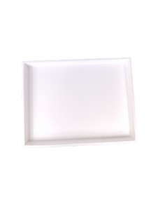 TACKA DO PYŁKU STYROPIANOWA - WIELKOPOLSKA , DADANT