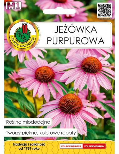 NASIONA - JEŻ&Oacute;WKA PURPUROWA 1G