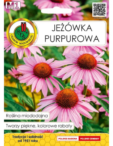 NASIONA - JEŻ&Oacute;WKA PURPUROWA 1G