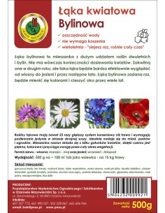 NASIONA - ŁĄKA KWIATOWA BYLINOWA 500G 2