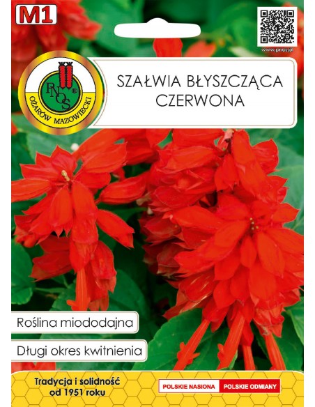 NASIONA - SZAŁWIA BŁYSZCZĄCA CZERWONA 0.5G
