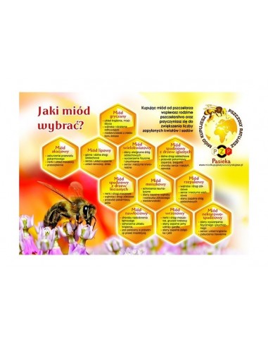 TABLICA INFORMACYJNA - "JAKI MI&Oacute;D WYBRAĆ ?" - XL