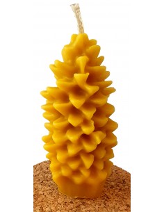 ŚWIECZKA - SZYSZKA - DUŻA