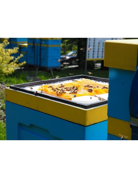 Apikand z Pyłkiem &ndash; 20 x 1kg, Karton