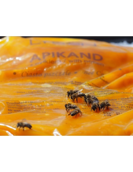 Apikand z Pyłkiem &ndash; 20 x 1kg, Karton