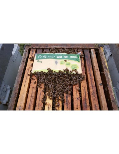 BKV z Ziołami &ndash; 15 x 1kg, Karton