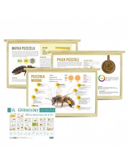 RAMKI INFORMACYJNE DO ULA EDUKACYJNEGO DADANT - KOMPLET 10 SZTUK.