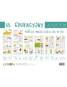 RAMKI INFORMACYJNE DO ULA EDUKACYJNEGO DADANT - KOMPLET... 2