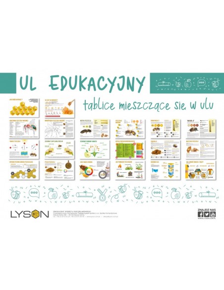 RAMKI INFORMACYJNE DO ULA EDUKACYJNEGO DADANT - KOMPLET 10 SZTUK.