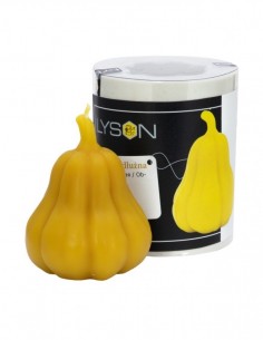 FORMA SILIKONOWA - DYNIA PODŁUŻNA 2