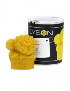 FORMA SILIKONOWA - PIWONIA 2